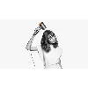 Фен Dyson Supersonic HD07, Nickel/Copper